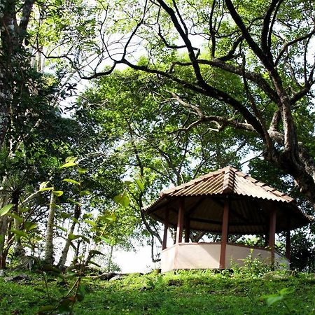 Rajanawa Resort Ratnapura Ngoại thất bức ảnh